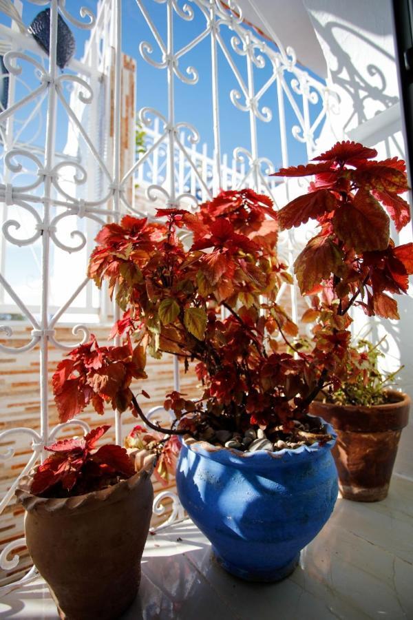 Dar Sidi Mfedal Apartment เชฟชาอูน ภายนอก รูปภาพ